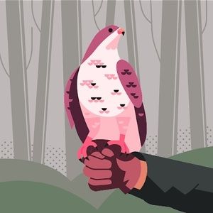 Meet your Posher, Lyndsey